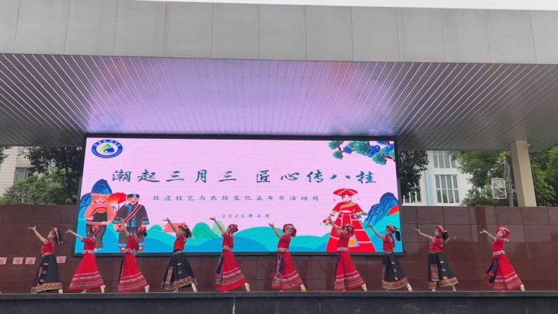 我院开展非遗技艺与民族文化嘉年华活动